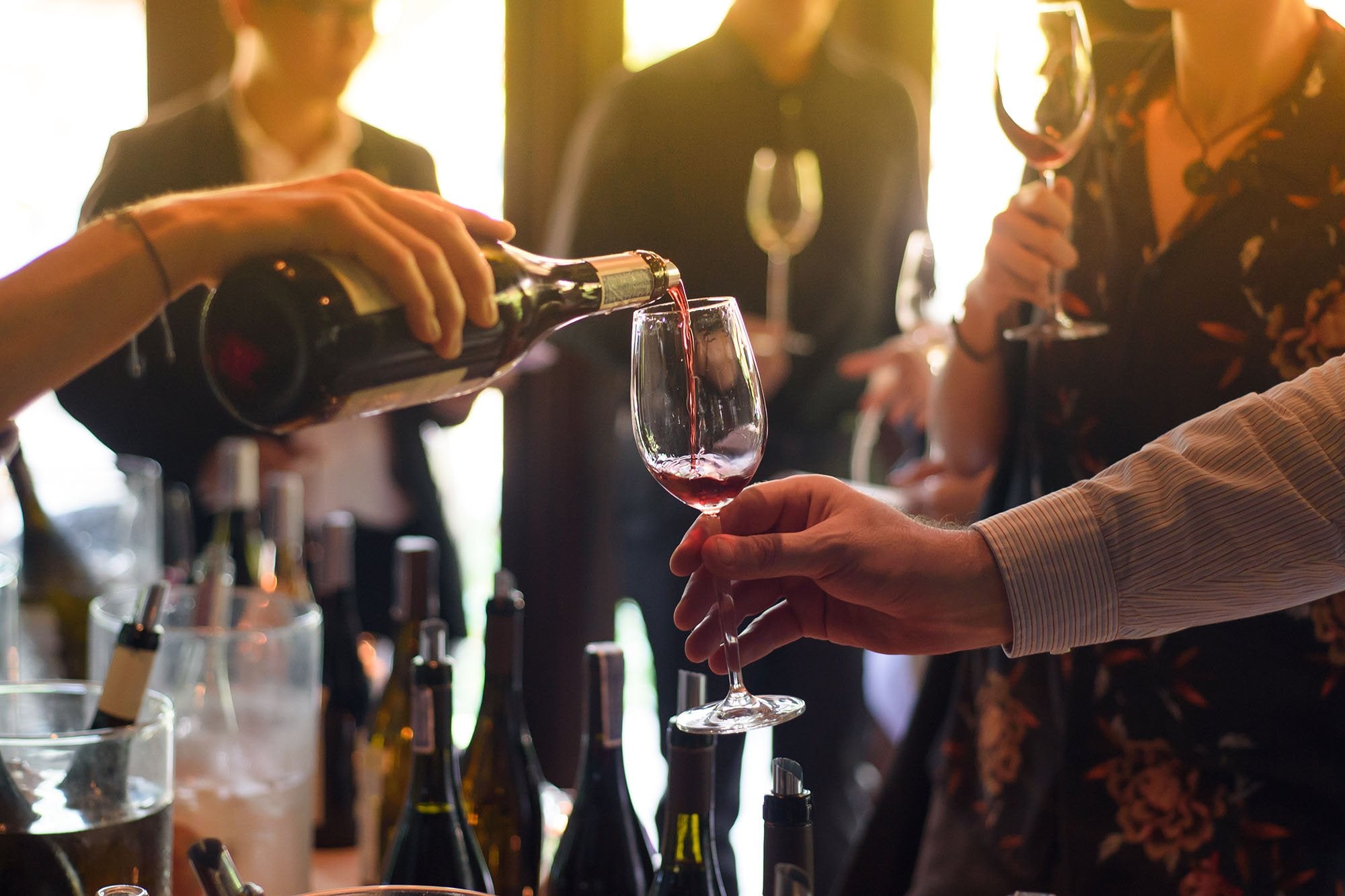 How to Host Your Own Wine-Tasting Party: A Brief Guide